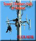 Tower Climbers